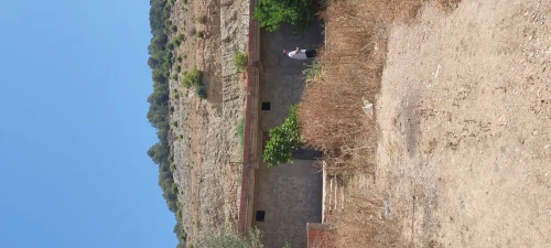 Vente Terrain Tipaza Cherchell