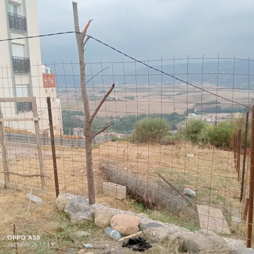 Vente Terrain Tizi Ouzou Tizi ouzou