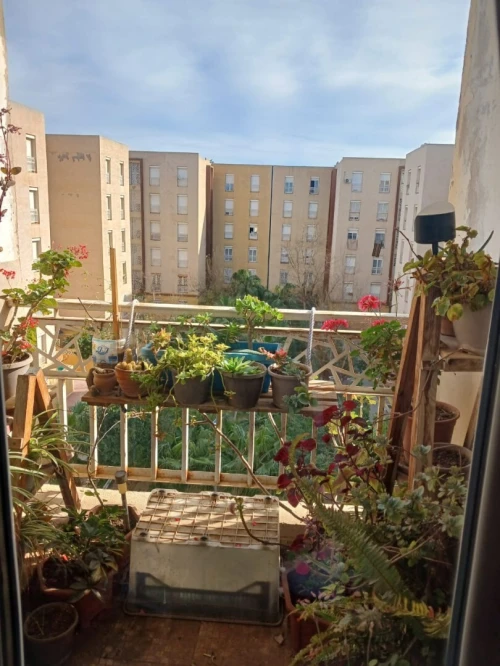 Vente Appartement F5 Alger Reghaia