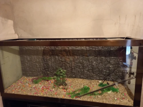 Aquarium 