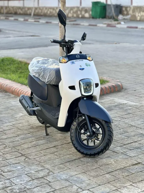 Vms Cuxi 2025