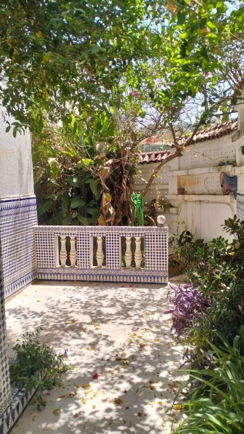 Location Villa Alger Dely brahim