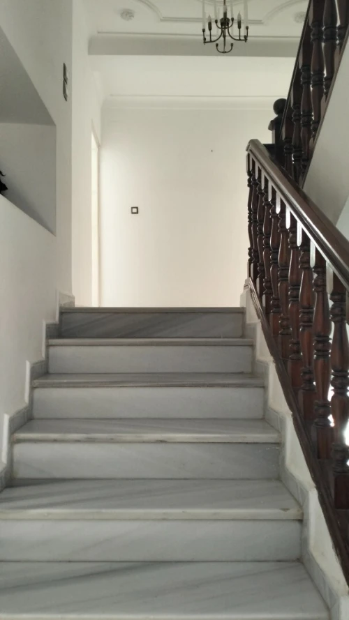 Location Villa Alger Dely brahim