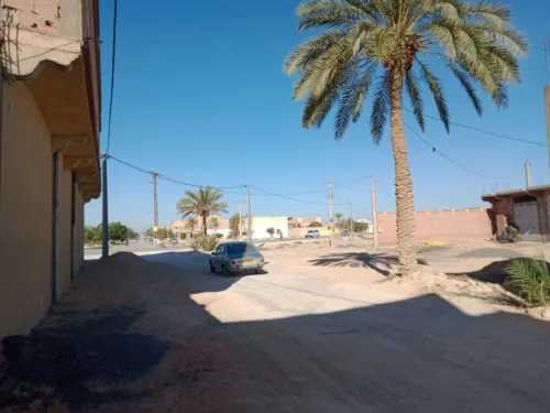 Vente Terrain Biskra Lichana