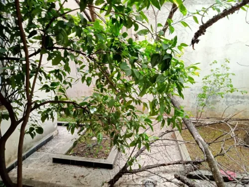 Vente Villa Constantine Constantine