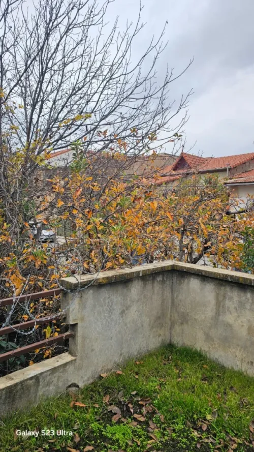 Vente Villa Constantine Constantine