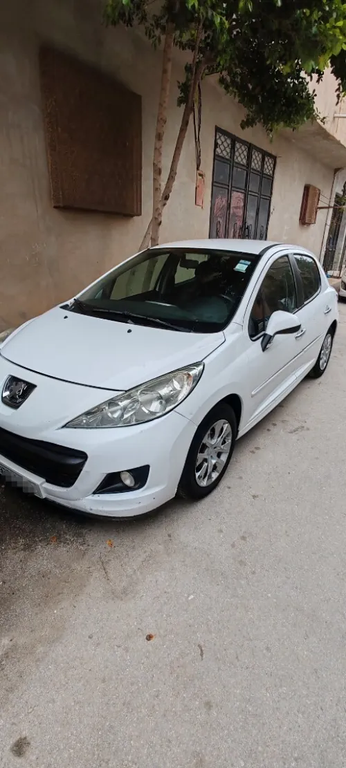 Peugeot 207 2012 Fennec