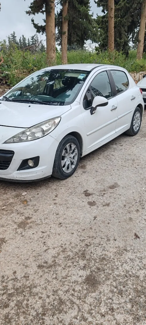 Peugeot 207 2012 Fennec
