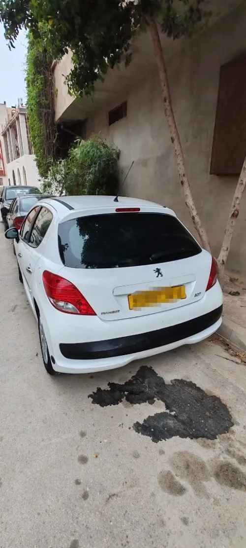Peugeot 207 2012 Fennec