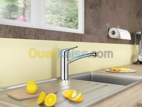 HANSGROHE Logis M31 Mitigeur de Cuisine 120