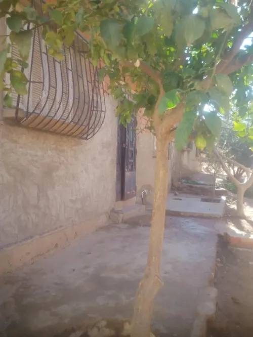 Vente Villa Relizane El matmar