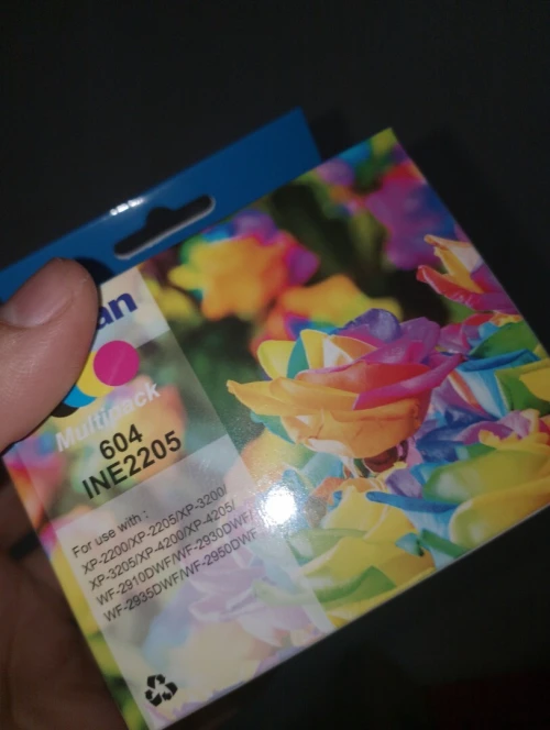 Cartouches d'encre Epson 604XL