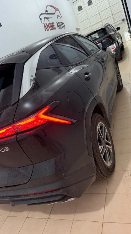 Jaguar Dashing 2026 