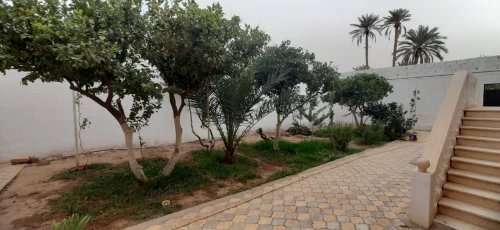 Vente Niveau De Villa F6 Laghouat Laghouat