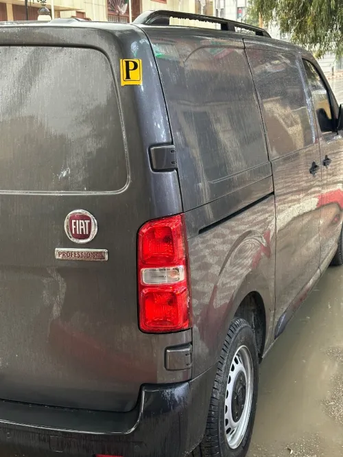 Fiat Professional 2023 Professional