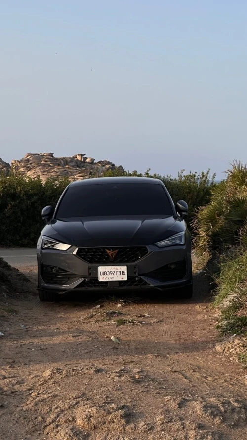 Seat Leon 2021 Cupra