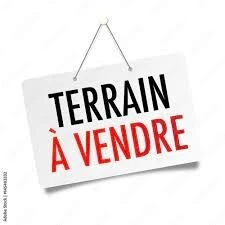Vente Terrain Alger Beni messous