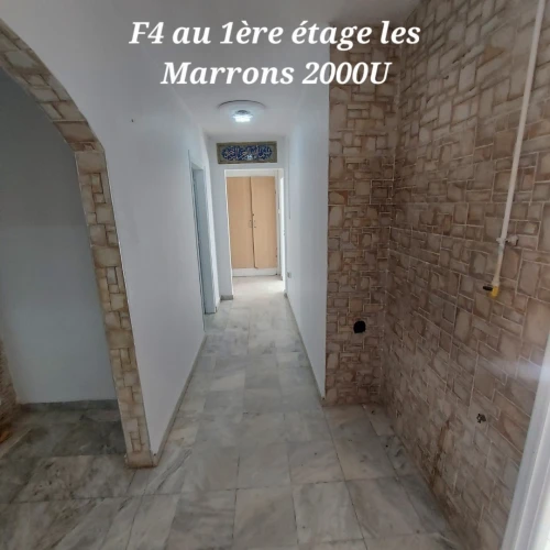 Vente Appartement F3 Alger Dely brahim