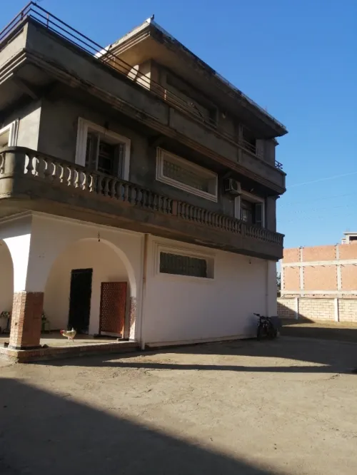 Vente Terrain Blida Chebli