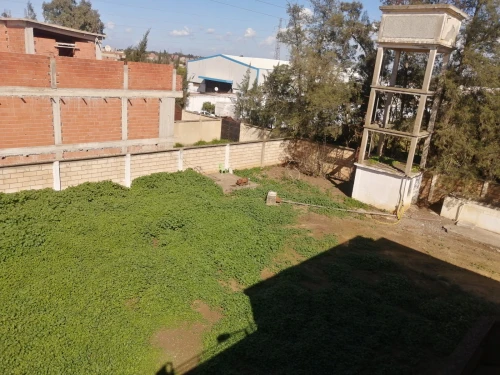 Vente Terrain Alger Ouled chebel