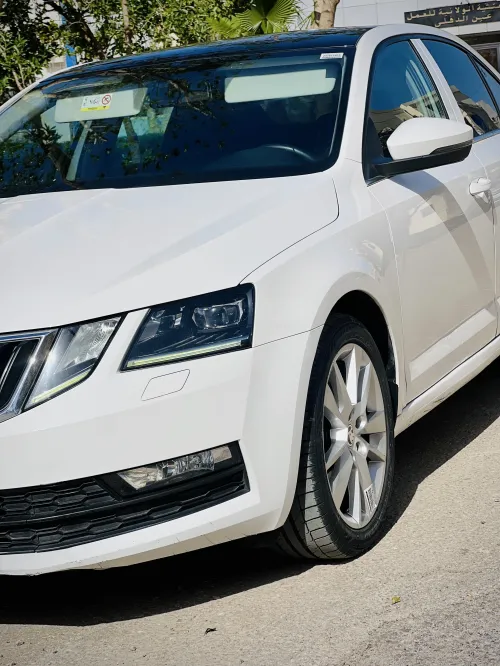 Skoda Octavia 2019 Elegance DGS