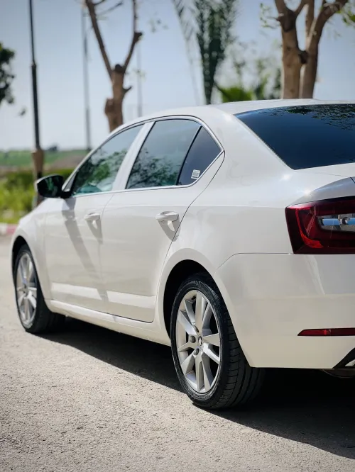 Skoda Octavia 2019 Elegance DGS