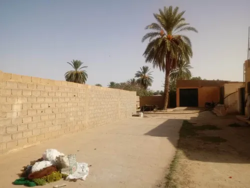 Location Terrain Agricole Laghouat Laghouat