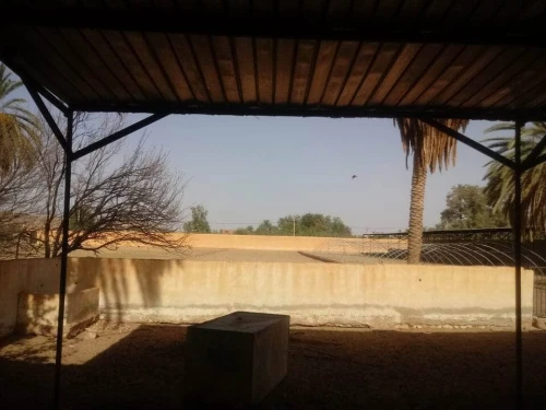 Location Terrain Agricole Laghouat Laghouat