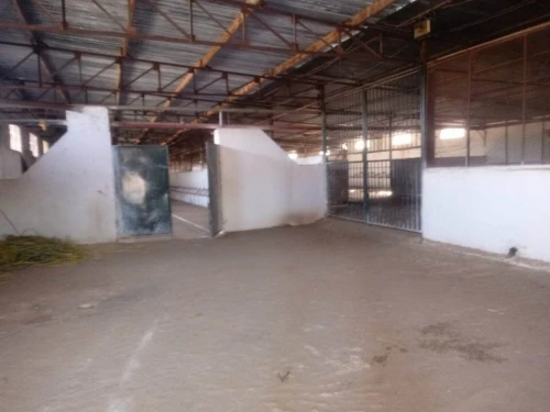 Location Terrain Agricole Laghouat Laghouat