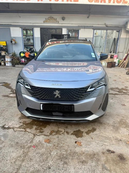 Peugeot 3008 2022 Gros line