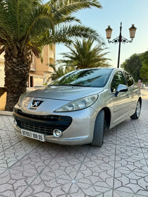 Peugeot 207 2009 Platinum