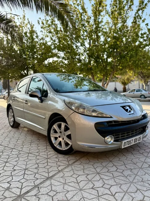 Peugeot 207 2009 Platinum