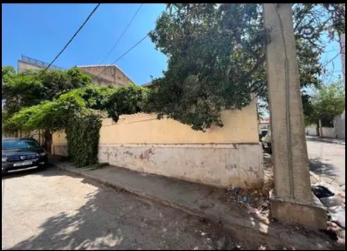 Vente Villa Blida Blida