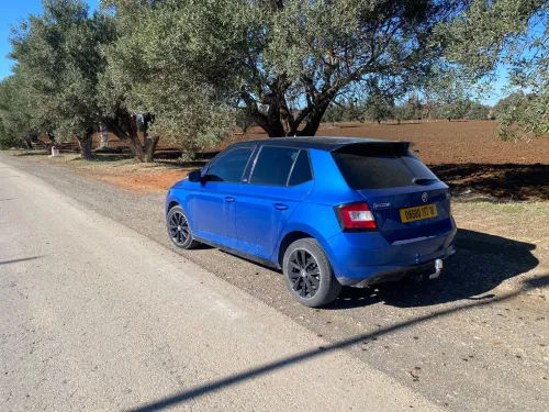Skoda Fabia 2017 Monte Carlo