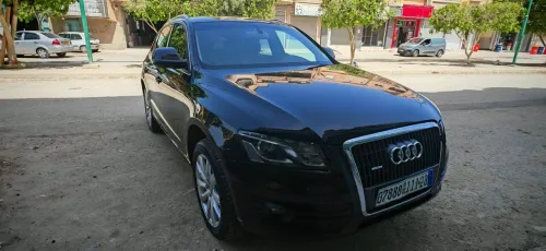 Audi Q5 2011 Manuel