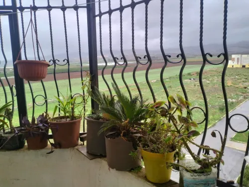 Vente Appartement F3 Tipaza Bourkika