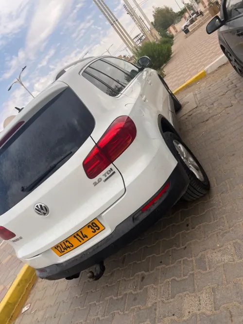Volkswagen Tiguan 2014 Cub