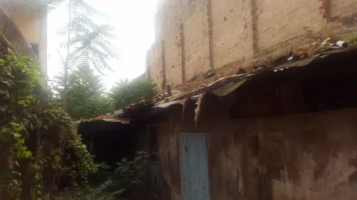 Vente Terrain Tlemcen Tlemcen