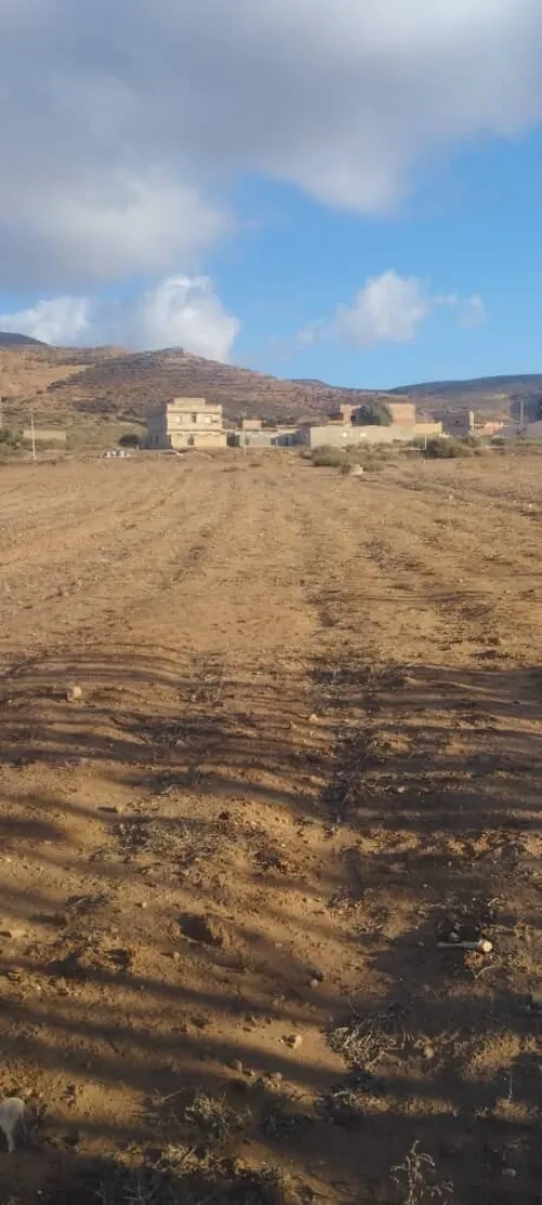 Vente Terrain Mostaganem Abdelmalek ramdane
