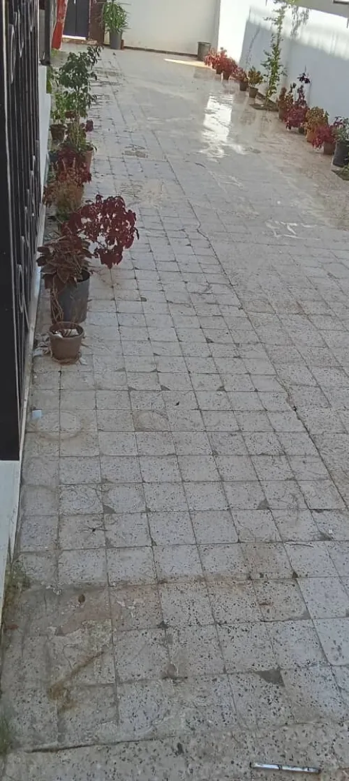 Location Villa Alger Mohammadia