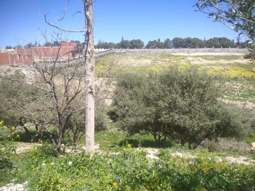Vente Terrain Bordj Bou Arreridj El achir