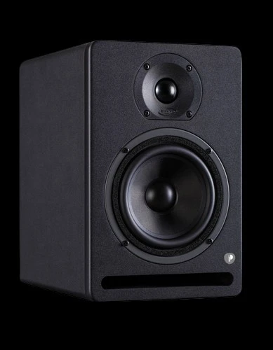 Moniteurs 5'' professionnels  (50 + 25 Watts RMS, bi-amplifiés )