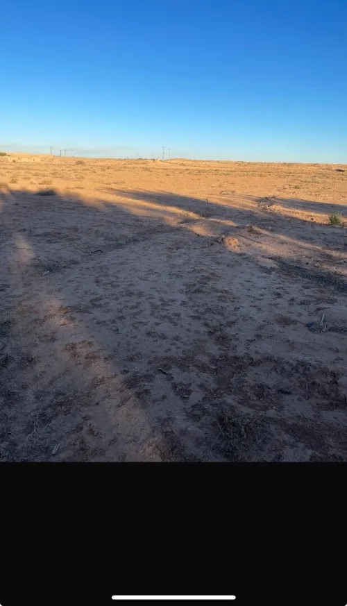 Vente Terrain Agricole Ouled Djellal Doucen