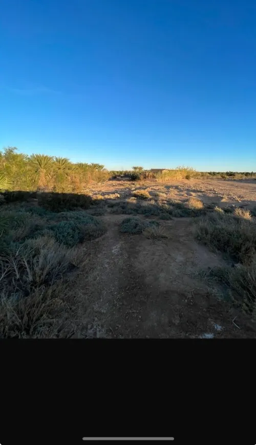 Vente Terrain Agricole Ouled Djellal Doucen