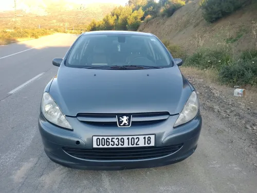 Peugeot 307 2002 XT