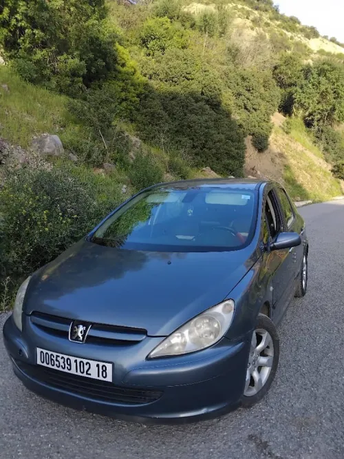 Peugeot 307 2002 XT