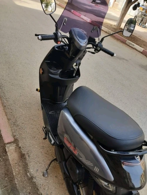Vms Coxi 2020