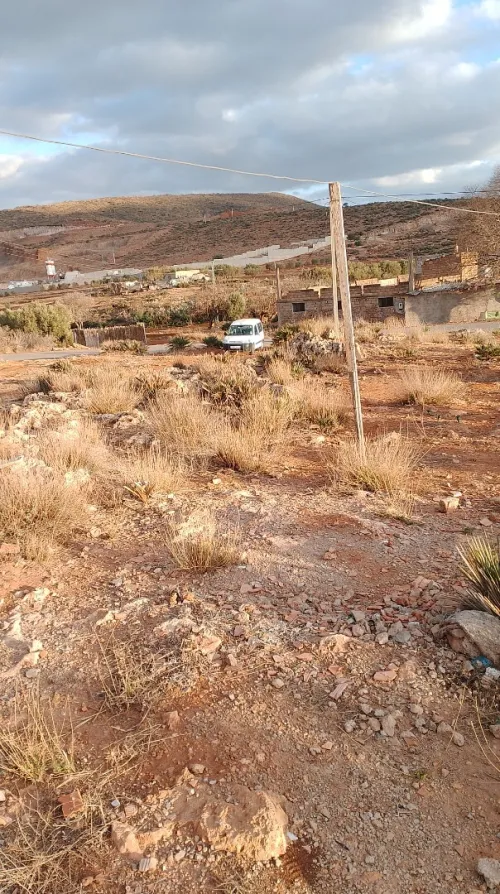 Vente Terrain Tlemcen Ain fezza