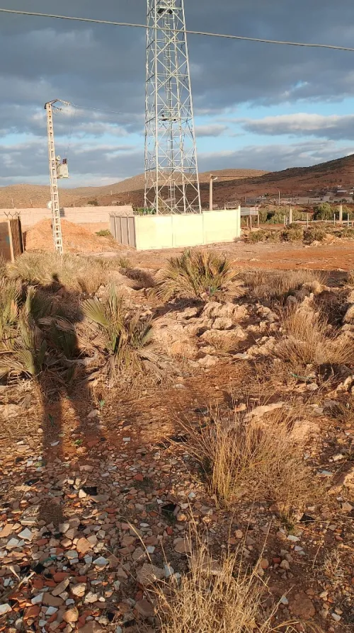 Vente Terrain Tlemcen Ain fezza