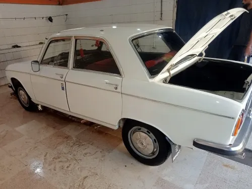 Peugeot 304 1970 304
